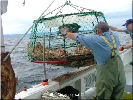 getting trap on the deck of the boat