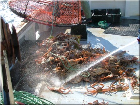 cleaning mud off crab and boat