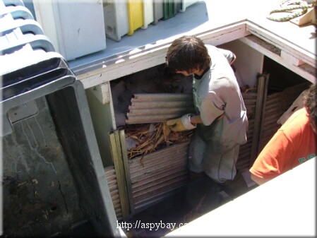 off loading snow crab