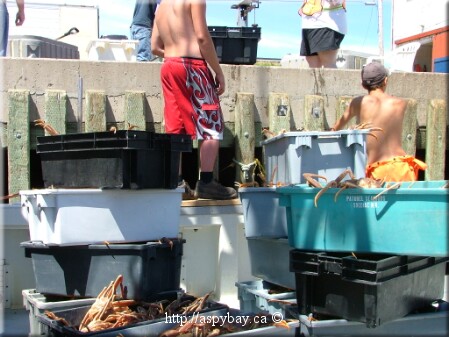 boxes ready to be weighed